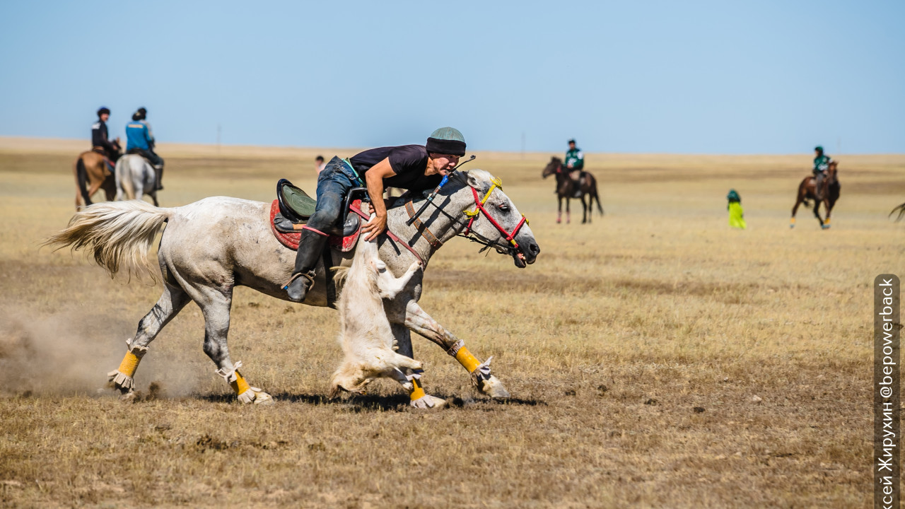 Ұлттық спорт күні: спортивные соревнования в коллективе