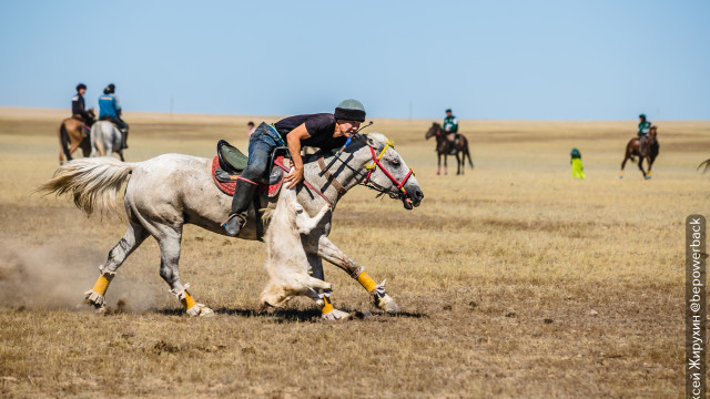 Ұлттық спорт күні: спортивные соревнования в коллективе