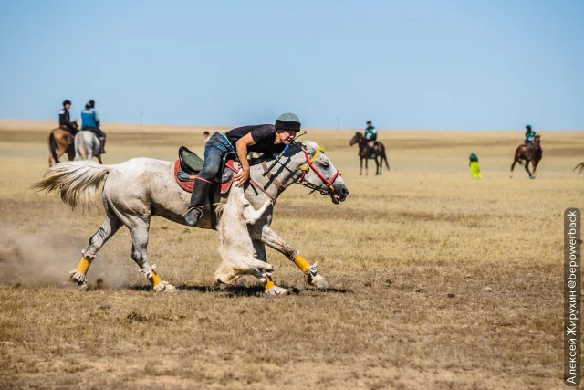 National Sports Day: Sports Competitions Among Employees