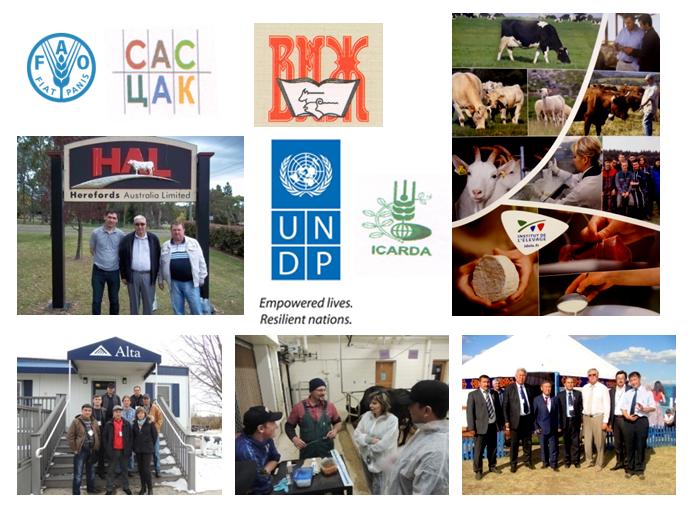 International relations – Казахский научно-исследовательский институт  животноводства и кормопроизводства