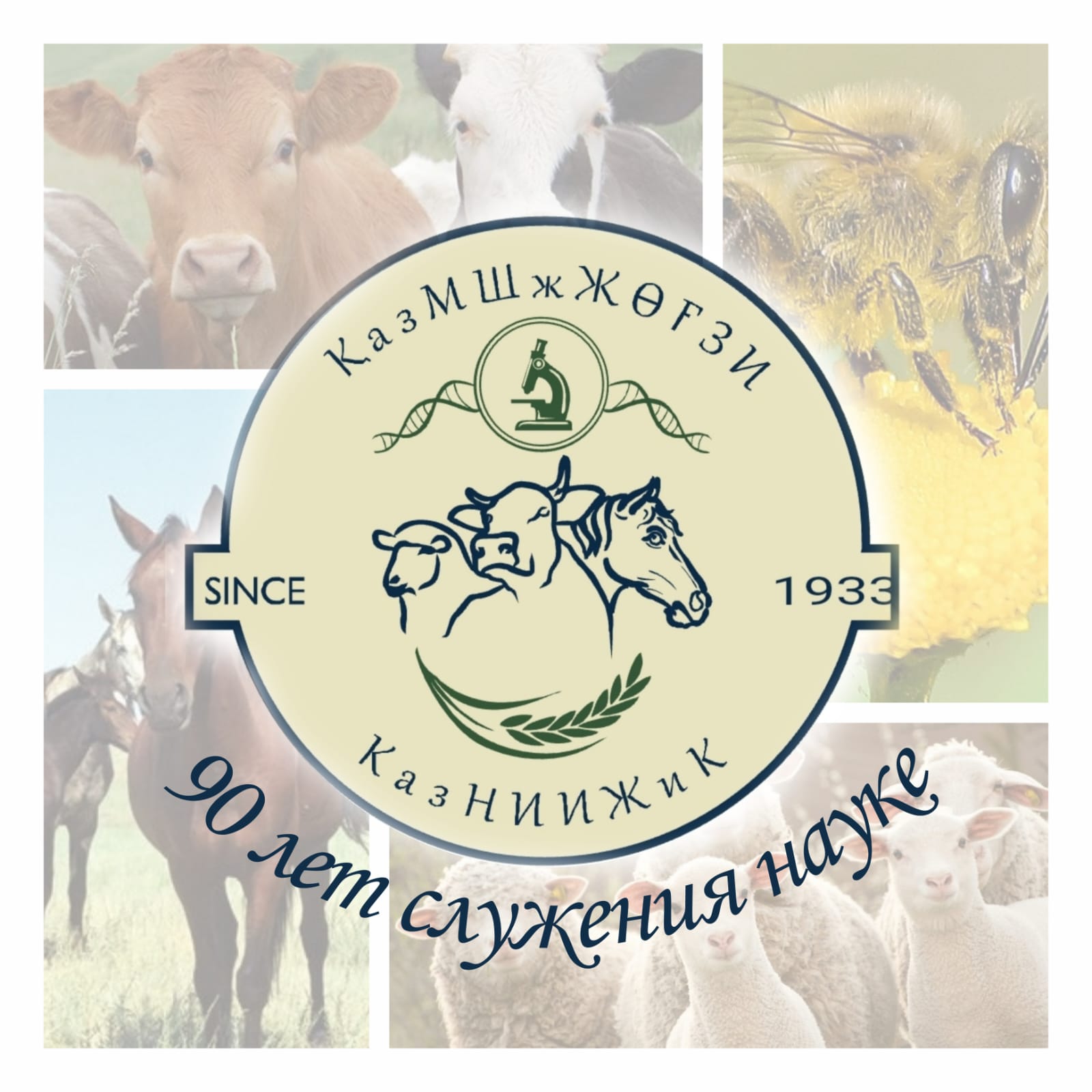 Казахскому научно-исследовательскому институту животноводства и кормопроизводства 90 лет
